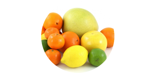 Citrus Mix (FA)